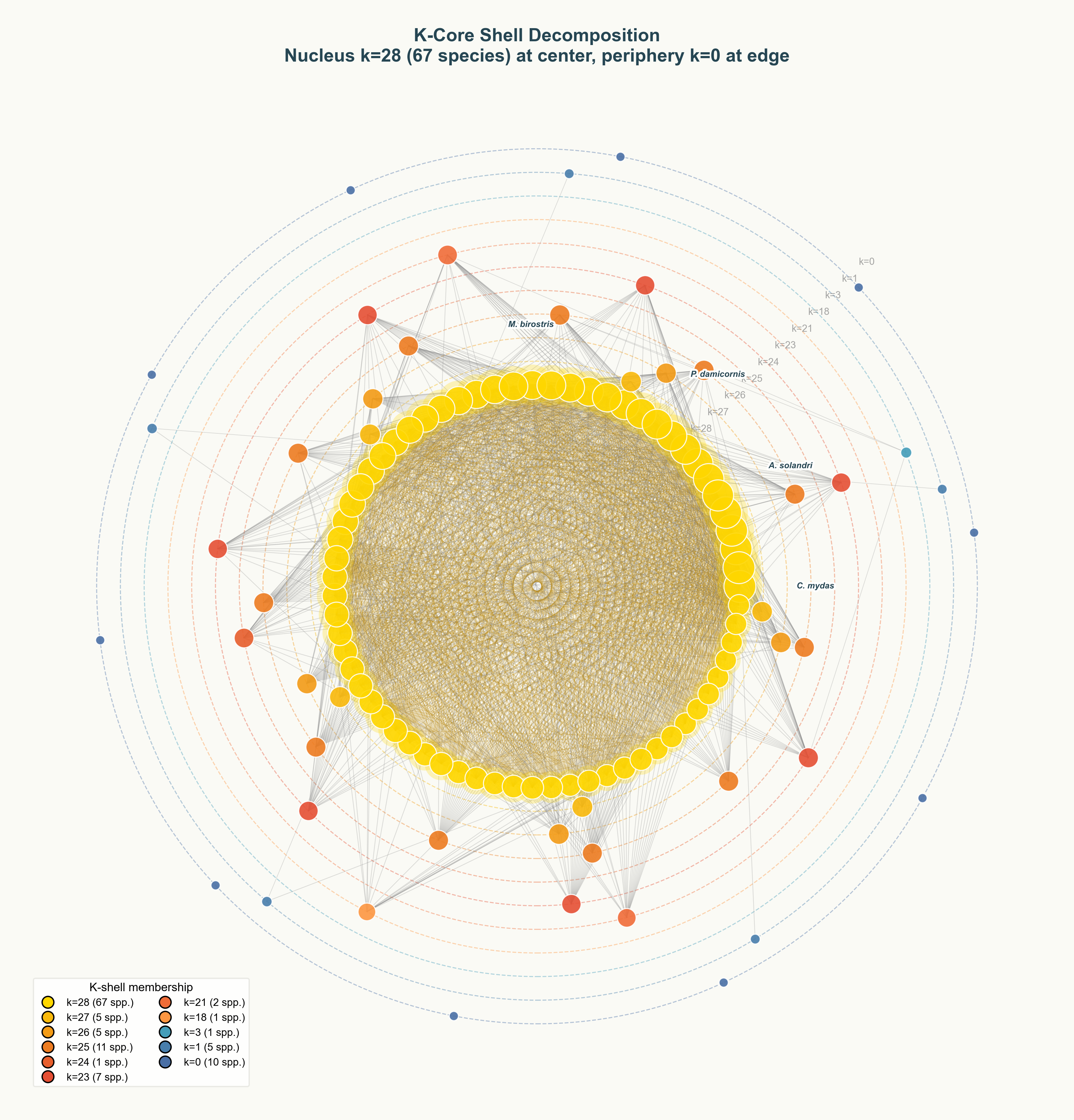 K-core shell decomposition of an AI-reconstructed island food web. A dense golden nucleus of load-bearing species, with progressively more peripheral shells outward to the weakly attached rim.